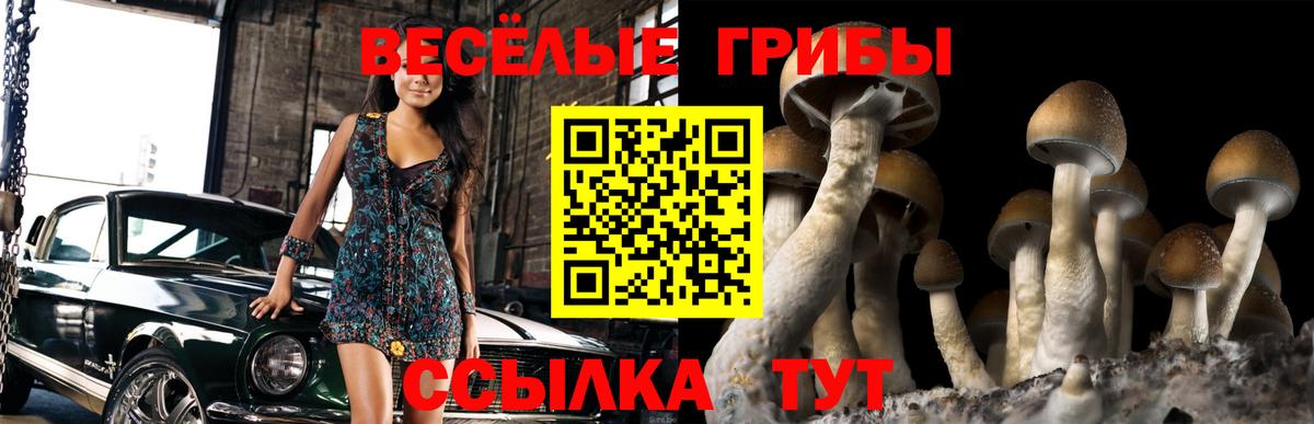 Псилоцибиновые грибы мицелий Карачаевск
